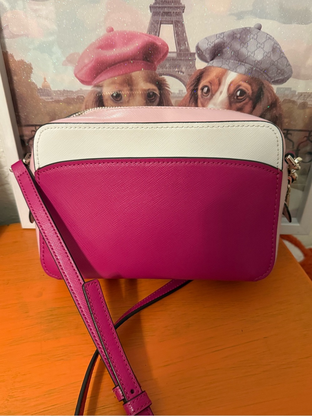 Kate Spade Lauryn Colorblock Camera Bag/Crossbody EUC - Picture 4 of 14